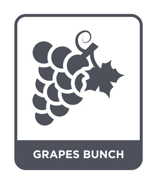 ilustrações, clipart, desenhos animados e ícones de vector ícone bando uvas, sobre fundo branco, uvas bando modernos ícones cheios de coleção da grécia - red grape grape fruit sweet food