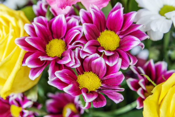 istock Bouquet of flowers close-up 1096476402