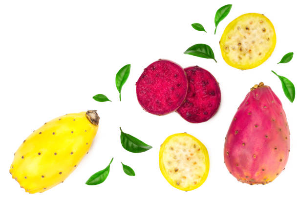 istock red end yellow prickly pear or opuntia isolated on a white background with copy space for your text. Top view. Flat lay 1096477956