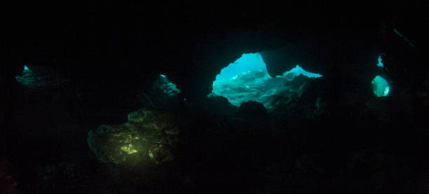 istock Scuba diving in the Casa Cenote, Tulum, Mexico 1096479496
