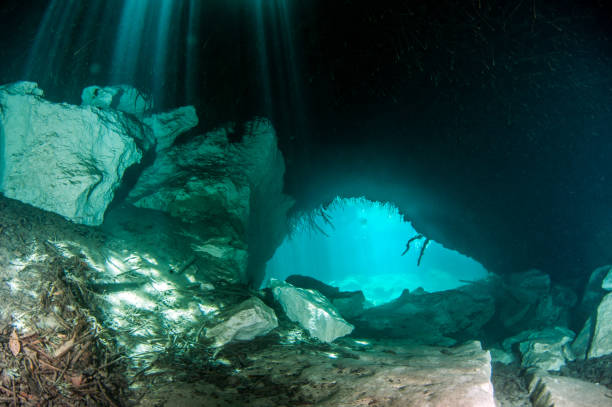 istock Scuba diving in the Casa Cenote, Tulum, Mexico 1096480000