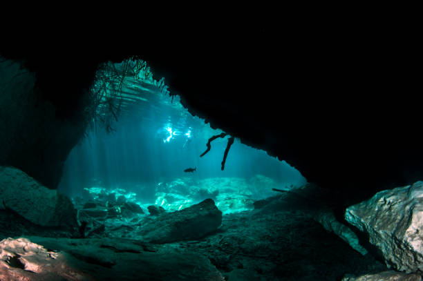 istock Scuba diving in the Casa Cenote, Tulum, Mexico 1096482334
