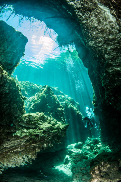 istock Scuba diving in the Casa Cenote, Tulum, Mexico 1096483830