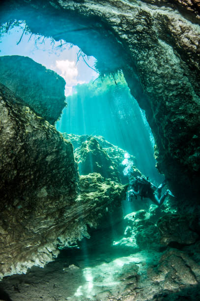 istock Scuba diving in the Casa Cenote, Tulum, Mexico 1096484178