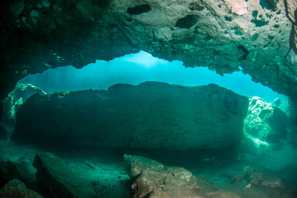 istock Scuba diving in the Casa Cenote, Tulum, Mexico 1096484348