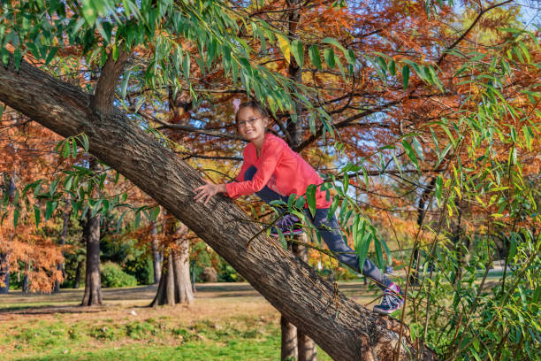 Smiling girl climbing tree outdoors on the park