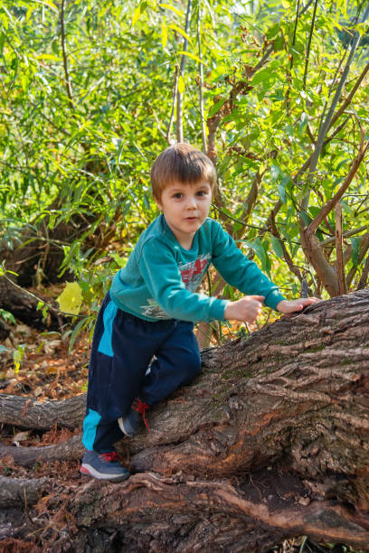 istock The boy climbs to the tree 1096488676
