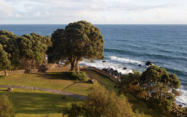 istock Ocean surf and trees in the setting sun in the evening 1096491754