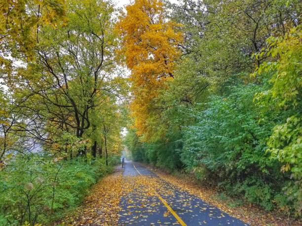 istock My Normal Trail in Autumn 1096494168