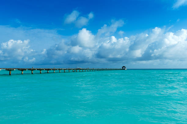 istock tropical Maldives island with white sandy beach and sea 1096494604
