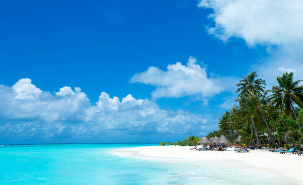 istock tropical Maldives island with white sandy beach and sea 1096494640
