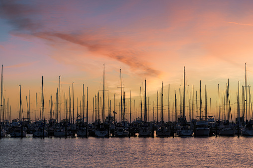 Sailboats at the South Yacht Basin at sunrise in St. Petersburg, Florida