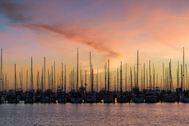 żaglówki o wschodzie słońca w petersburgu - sailboat sky mast sailing zdjęcia i obrazy z banku zdjęć