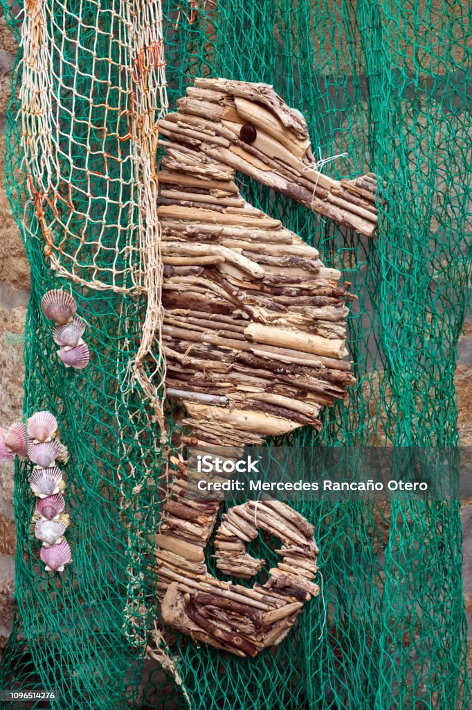 Craft Seahorse Made Of Small Twigs Fishing Net Stock Photo - Download Image  Now - A Coruna Province, Animal, Animal Shell - iStock