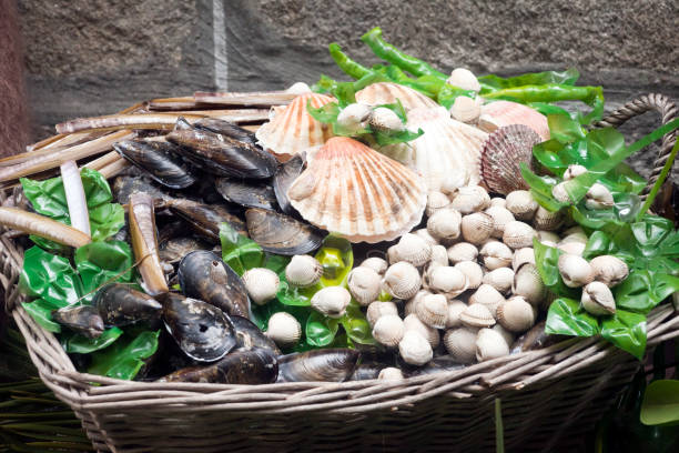 Scallops, cockles, mussels and razor clams at a street market. Close-up view of heap of scallops, cockles, mussels and razor clams  in a basket at a street market. Decoration in a Traditional festival in Muros, A Coruña province, Galicia, Spain. razor clam stock pictures, royalty-free photos & images