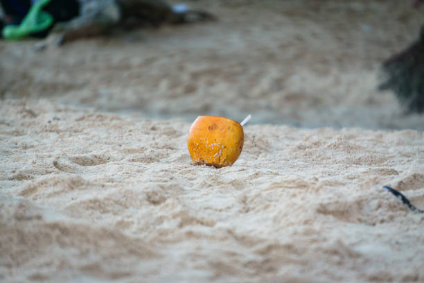 A Coconut on the beaches of Rio de Janeiro