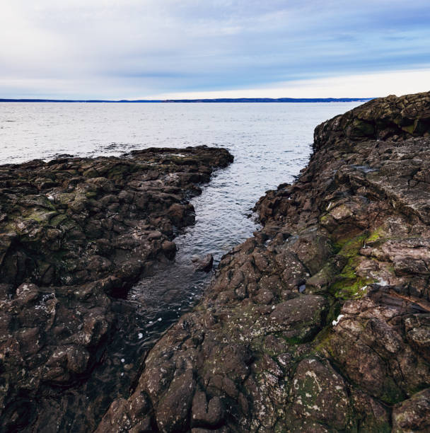 펀 디만 해안선 - nova scotia bay of fundy bay horizon over water 뉴스 사진 이미지