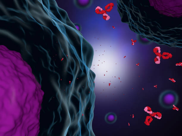 istock Antibodies attacking cancer cells 1096531354