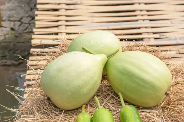 Photo of Winter melon is cut into pieces on the straw.