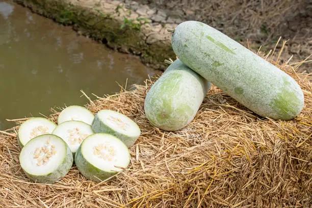 Photo of Winter melon is cut into pieces on the straw.
