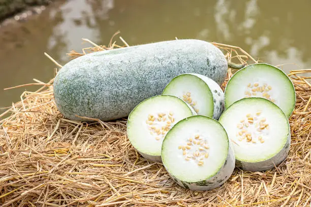 Photo of Winter melon is cut into pieces on the straw.