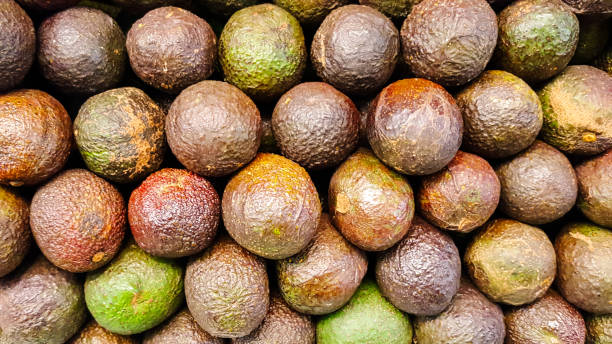 istock Stock of Hass Avocado. 1096534620
