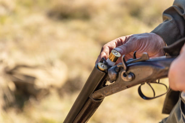 hunter equips the retro double-barreled shotgun with cartridges, close up. hunting season - doubles imagens e fotografias de stock