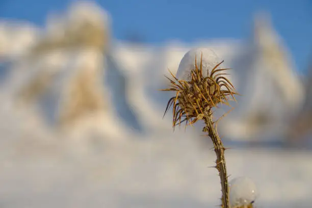 Photo of After the storm in Cappadocia