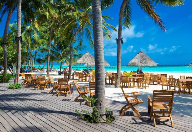 istock tropical Maldives island with white sandy beach and sea 1096545948