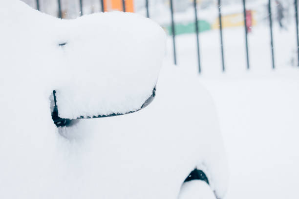 istock Car mirror in snow. Frozen,  snow covered front passenger car mirror 1096547538