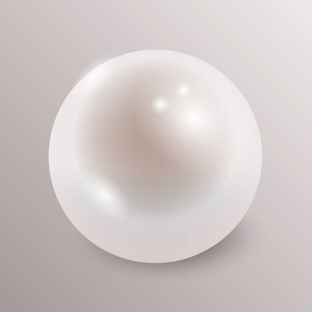 istock Shiny natural white pearl with light reflection realistic vector illustration. Oyster pearl ball for luxury accessories. 1096547974