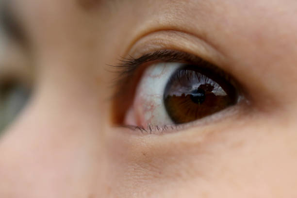 istock Female Adult Rolling Eyes to Camera Angle 1096550714