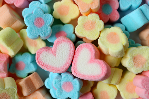 Valentines Day Cookies and Chocolate Truffles with Decorations for a Party on Retro Blue Wood Background