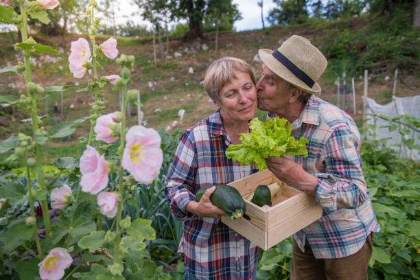 istock Seniors Gardening Vegetables 1096553542