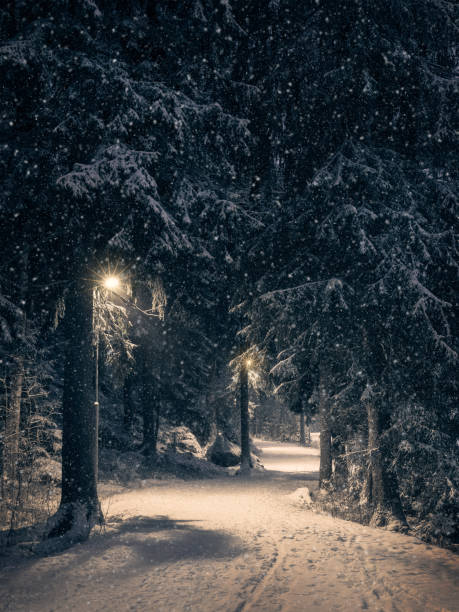 istock Moody landscape with snow path and light at winter evening in Finland 1096554948