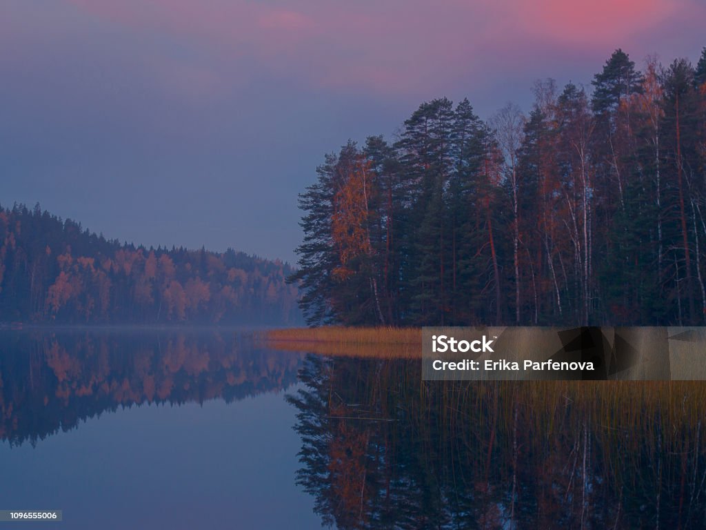 Golden autumn on the lake, color leaves of Finland Finland, Finnish Lakeland, Pertunmaa Lake Stock Photo