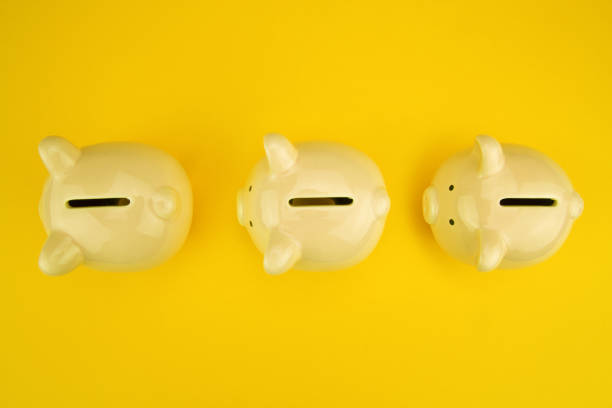 Three cute piggy bank on yellow color background