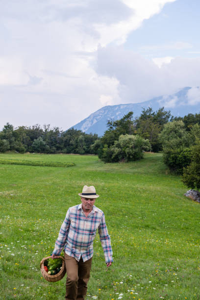 istock Senior Man on the Farm 1096558018