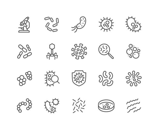 Line Bacteria Icons Simple Set of Bacteria Related Vector Line Icons. 
Contains such Icons as Virus, Colony of Bacteria, Petri Dish and more.
Editable Stroke. 48x48 Pixel Perfect. microbiology illustrations stock illustrations
