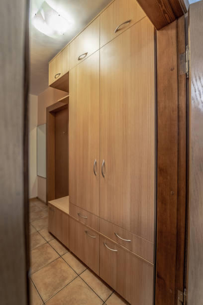 istock Interior of empty apartment, wardrobe 1096570804