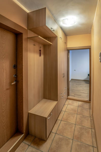 istock Interior of empty apartment, wardrobe 1096584734