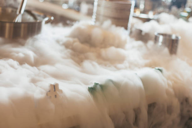 liquid nitrogen for cooking culinary masterclass stock photo