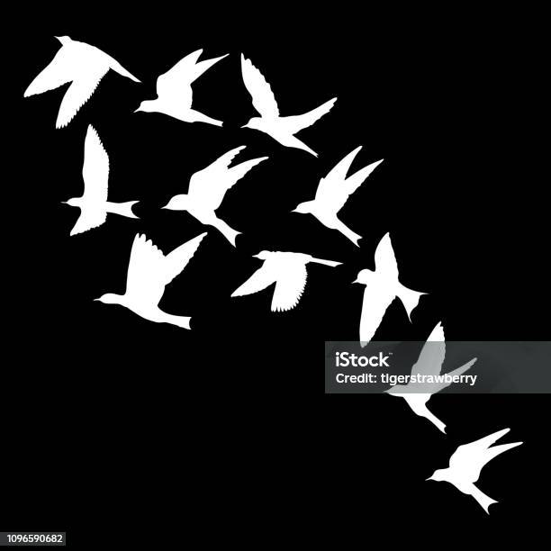 Silhouette Of Flying Birds On Black Background Inspirational Body Flash Tattoo Ink Vector Stock Illustration - Download Image Now