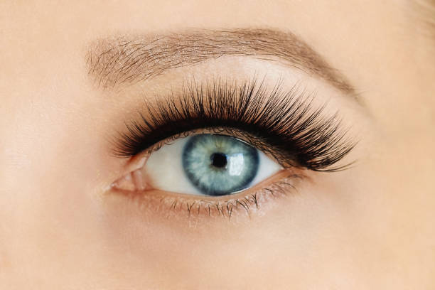 istock Opened female eye with long false eyelashes 1096591458