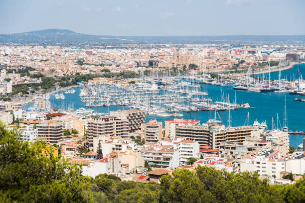 istock Aerial View over Palma de Mallorca 1096591884