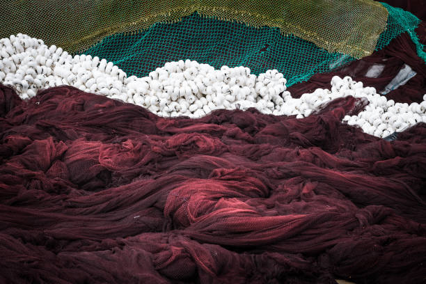redes de pesca de secado en el puerto - fish trap fotografías e imágenes de stock