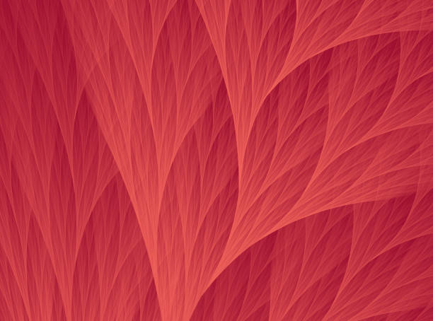 Living Coral Color of the Year 2019 Orange Red Pattern Abstract Reef Fractal Art Living Coral Color of the Year 2019 Orange Red Pattern Abstract Reef Fractal Fine Art coral sea photos stock pictures, royalty-free photos & images