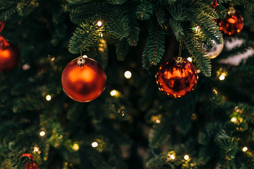 Holiday - Event, Christmas, Backgrounds, Christmas Tree