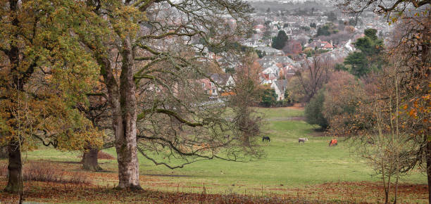 istock View from Corstorphine Hill, in Edinburgh 1096605586