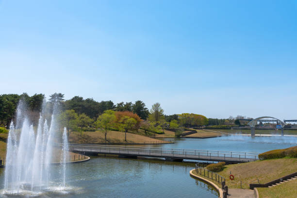 istock Nature Park in sunny weather 1096605776